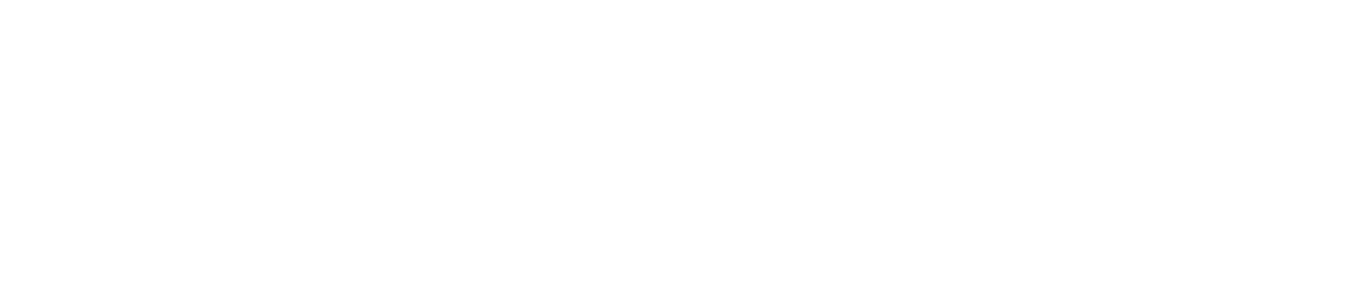 HealthVerse